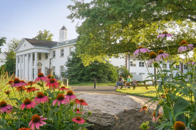 The Princeton Review Names Delaware Valley University To The 2021 Best the-princeton-review-names-delaware-valley-university-to-the-2021-best
